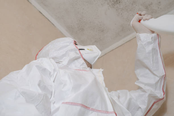 Best Biohazard Mold Removal  in Cloverleaf, TX